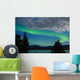 Aurora borealis (Northern lights) display Wall Mural