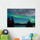 Aurora borealis (Northern lights) display Wall Mural