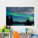 Aurora borealis (Northern lights) display Wall Mural