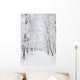Winter footpaths Wall Mural