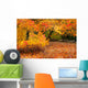 orange trees Wall Mural