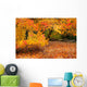 orange trees Wall Mural