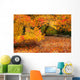 orange trees Wall Mural