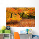orange trees Wall Mural