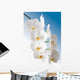 Weisse Orchidee Wall Mural