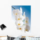 Weisse Orchidee Wall Mural