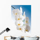 Weisse Orchidee Wall Mural