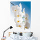 Weisse Orchidee Wall Mural