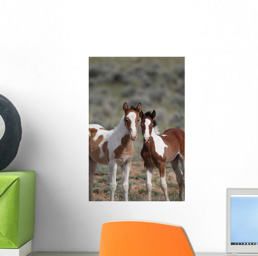 Wild Mustangs Mccullough Peak