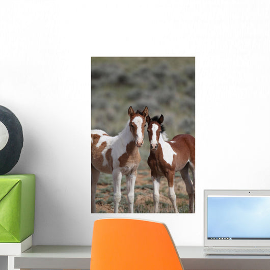 Wild Mustangs Mccullough Peak