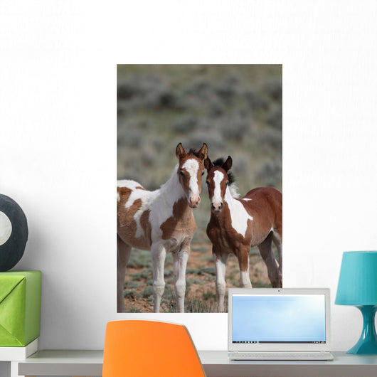 Wild Mustangs Mccullough Peak