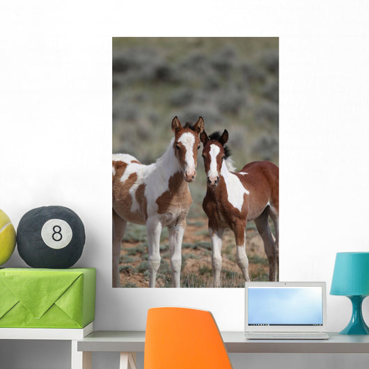 Wild Mustangs Mccullough Peak
