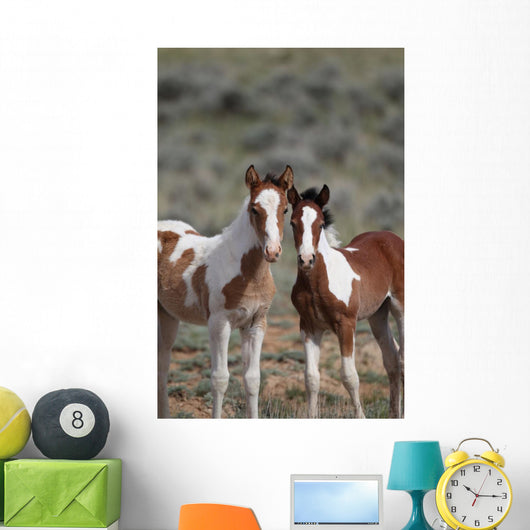 Wild Mustangs Mccullough Peak
