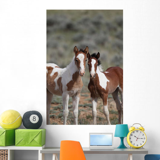 Wild Mustangs Mccullough Peak