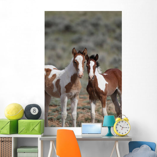 Wild Mustangs Mccullough Peak