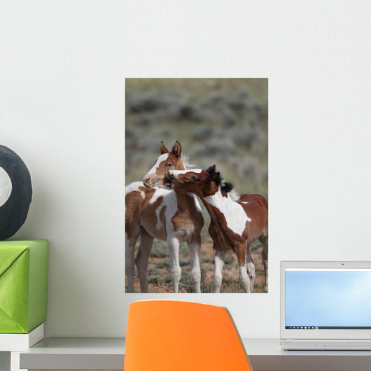 Wild Mustangs Mccullough Peak