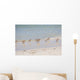 Flock Sandpipers Wall Mural