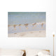 Flock Sandpipers Wall Mural