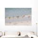 Flock Sandpipers Wall Mural