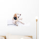 Labrador headset Wall Mural