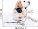 Labrador headset Wall Mural