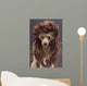 Mullet Dog Wall Mural