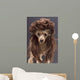 Mullet Dog Wall Mural