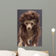 Mullet Dog Wall Mural