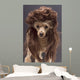 Mullet Dog Wall Mural