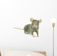 Rat
