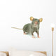 Rat