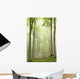 Enchanted forest with mist moving between the trees Wall Mural