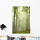 Enchanted forest with mist moving between the trees Wall Mural