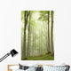 Enchanted forest with mist moving between the trees Wall Mural