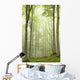 Enchanted forest with mist moving between the trees Wall Mural