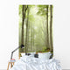 Enchanted forest with mist moving between the trees Wall Mural