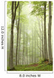 Enchanted forest with mist moving between the trees Wall Mural