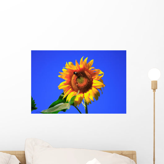 Sonnenblume Wall Mural