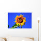 Sonnenblume Wall Mural