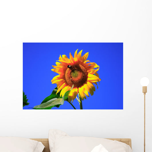 Sonnenblume Wall Mural