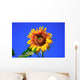 Sonnenblume Wall Mural