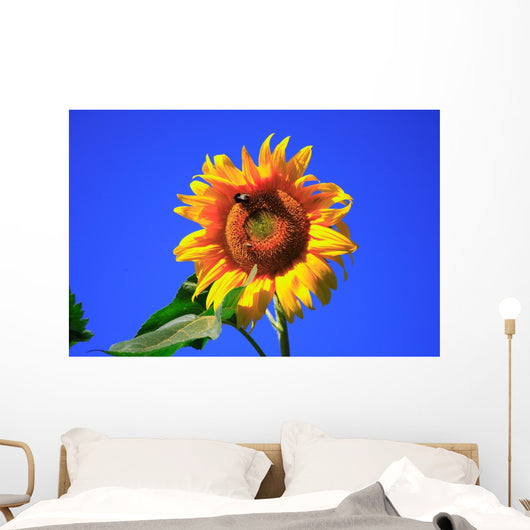 Sonnenblume Wall Mural