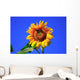Sonnenblume Wall Mural