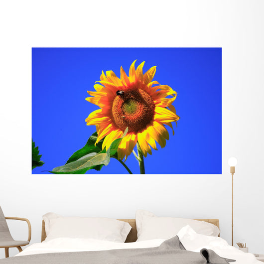 Sonnenblume Wall Mural