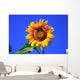 Sonnenblume Wall Mural