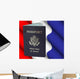 American Passport Wall Mural