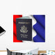 American Passport Wall Mural