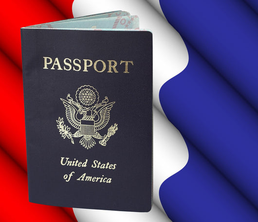 American Passport Wall Mural