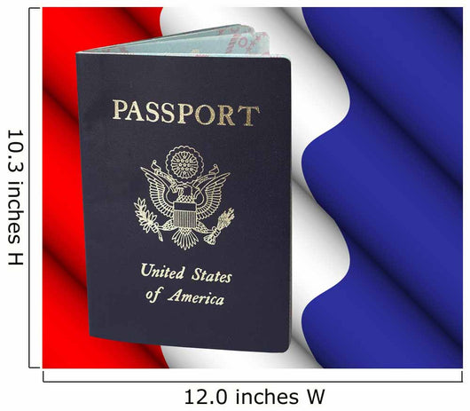 American Passport Wall Mural