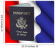 American Passport Wall Mural